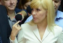 Comisia anti Udrea, scoasa la vinzare. Cit costa oare sa nu se faca?