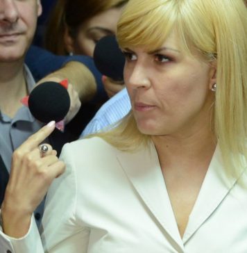 Comisia anti Udrea, scoasa la vinzare. Cit costa oare sa nu se faca?