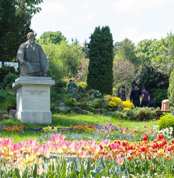 Cele mai frumoase gradini botanice din Romania