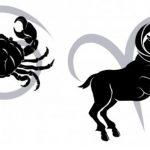 Doua zodii cardinale, Berbec si Rac