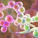 7 simptome ale cresterii excesive a candidei (plus cum sa scapi de ea)