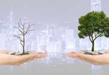 De ce este importanta investitia in timp ce castigi?