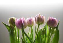 122 Mesaje De 1 Martie