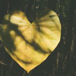 136 Citate Despre Viata Si Iubire care sa te inspire in fiecare zi