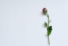 297 Citate Despre Viata Si Sentimente Citate scurte