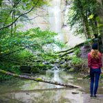 457 Citate Motivationale pline de adevar