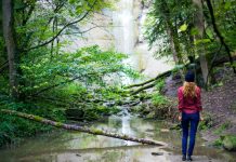 457 Citate Motivationale pline de adevar