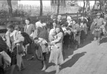 Bunicul meu a fost nazist: de aceea imi este clar de ce avem nevoie de Uniunea Europeana