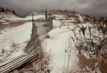 Lipsa de caviar, supraincarcarea apelor uzate si infractorii cluburilor de tara: in interiorul iernii COVID-19 in Hamptons