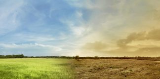 De ce stiinta are nevoie de stiinte umaniste pentru a rezolva schimbarile climatice